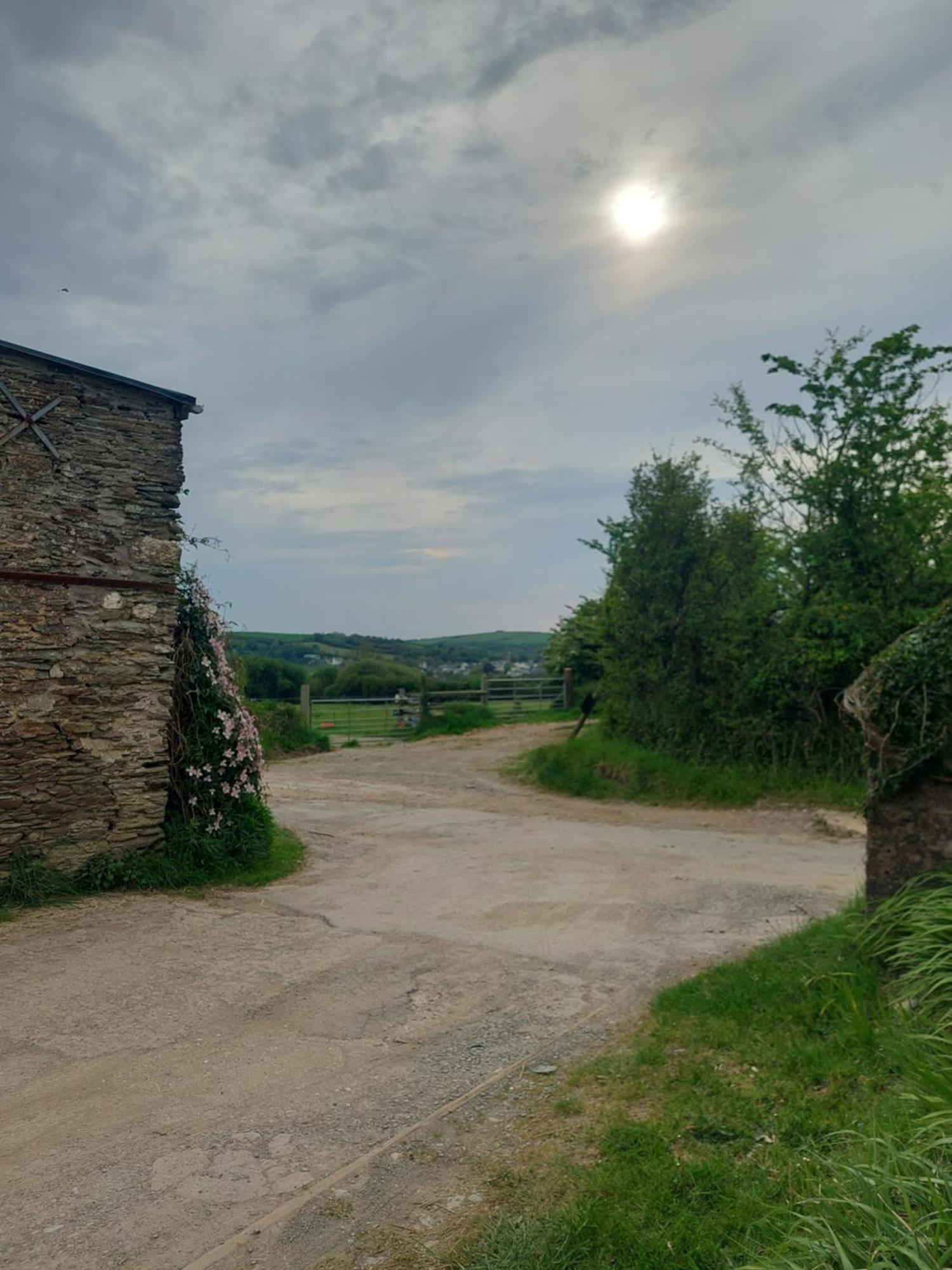 Rural Historic Farmhouse - A Peaceful Escape West Down Экстерьер фото