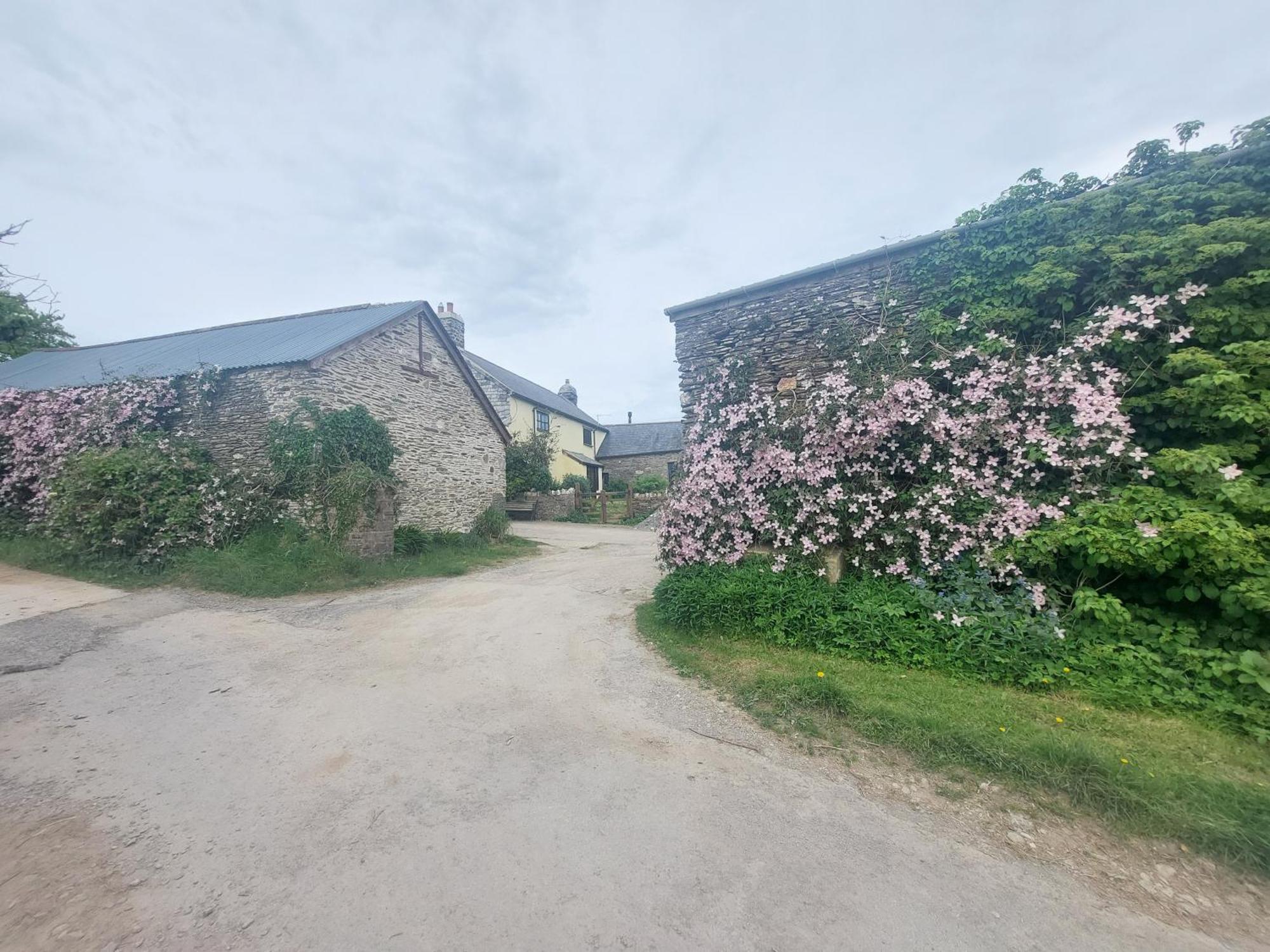 Rural Historic Farmhouse - A Peaceful Escape West Down Экстерьер фото