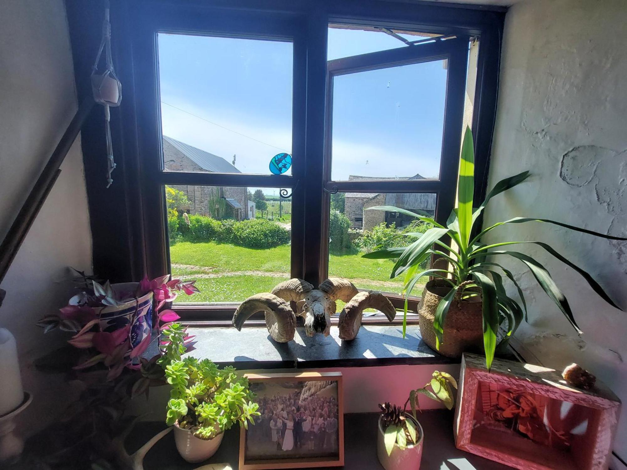 Rural Historic Farmhouse - A Peaceful Escape West Down Экстерьер фото